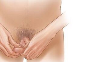 Jelqing-Übungen zur Vergrößerung des Penis